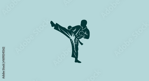 Stylized silhouette of a martial artist executing a powerful high kick.