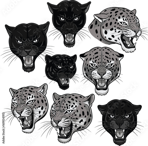 Set of roaring panther and leopard heads, wild cat face illustration, aggressive animal mascot, vector graphic for tattoo and print