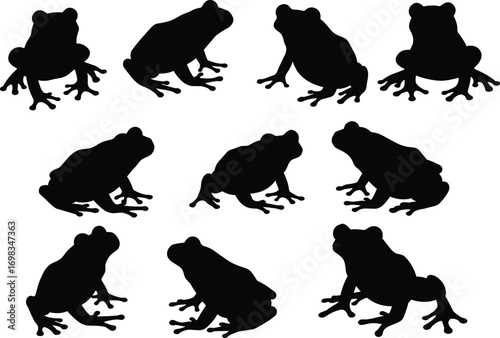 Frog silhouette vector collection, black amphibian shapes, sitting frog illustrations, cartoon frog icons, frog outline design, animal wildlife clipart set