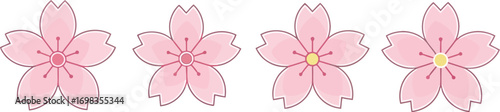 Four delicate pink cherry blossom flowers arranged in a row elegant spring floral design vector