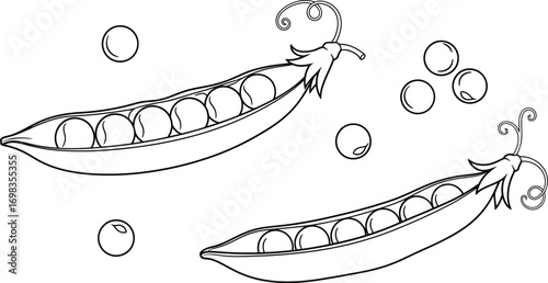 Fresh peas in pods, a simple illustration of healthy food ingredients