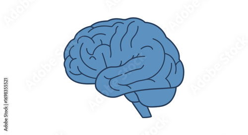 Stylized Blue Human Brain Illustration Showing Cerebrum and Brainstem.