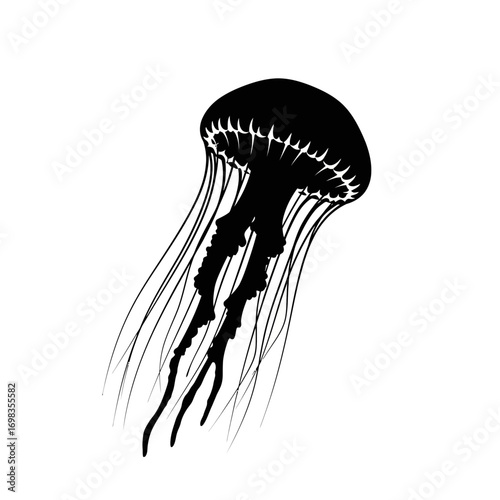 Black jellyfish silhouette isolated on white background
