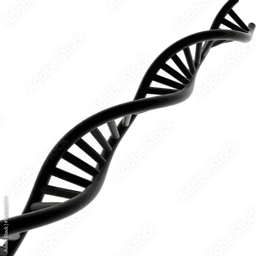 Black dna double helix molecule silhouette isolated on white background