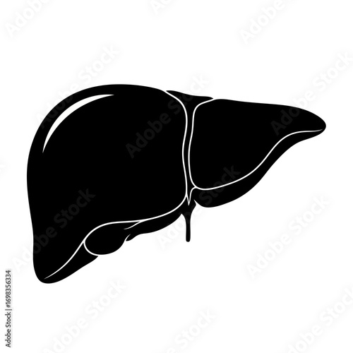 Black silhouette of a human liver isolated on white background
