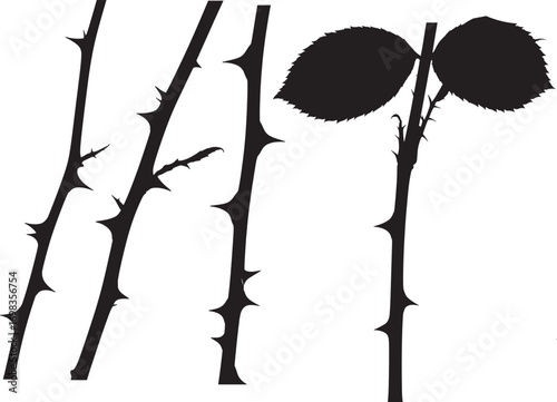Rose stem with thorns silhouette vector trending microstock
