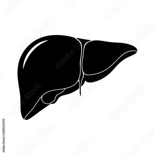 Black silhouette of a human liver isolated on white background