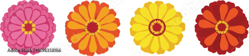 Four colorful zinnia flowers displayed in a row vivid petals vector