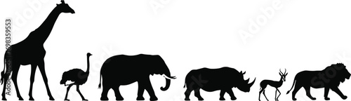 Silhouettes of African safari animals including giraffe, ostrich, elephant, rhinoceros, antelope, and lion in black isolated vector.