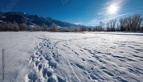 Sunlight glistens on snow covered ground with distant mountains and scattered trees