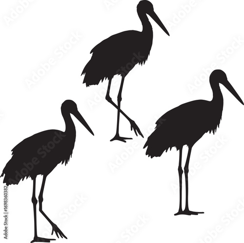 Stork silhouette set for trending microstock vector marketplace