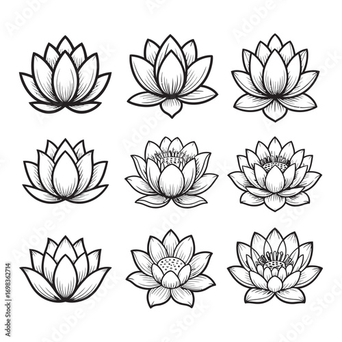 Elegant collection of hand-drawn lotus flower illustrations, a versatile vector art set for spiritual designs, meditation themes, and decorative graphic elements