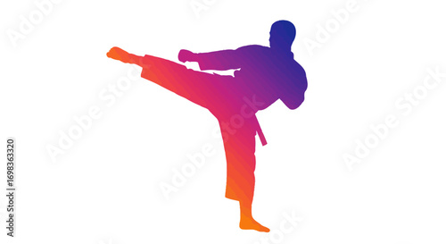 Silhouette of a martial artist performing a dynamic side kick in a vibrant gradient.