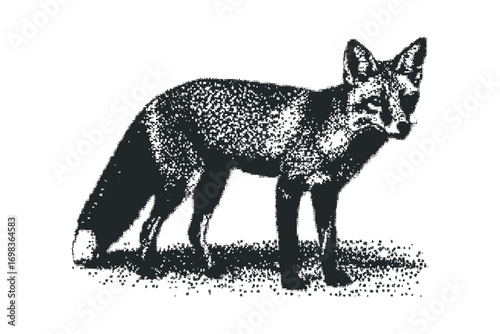 Red fox standing alert on textured ground,