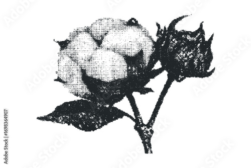 Textured cotton boll stem with leaves