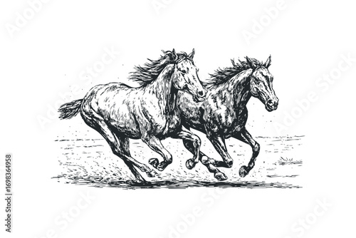 Two galloping horses depicted in a linocut style on a transparent