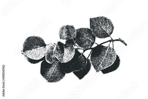 Textured branch with leaves, transparent