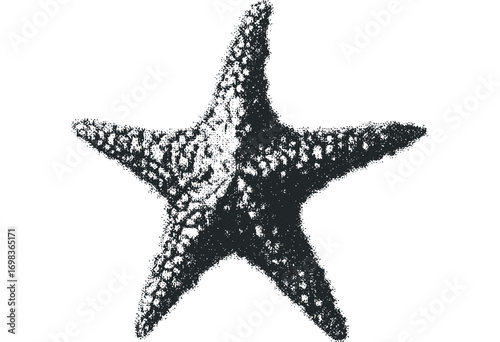 Stippled Starfish Marine Life Object