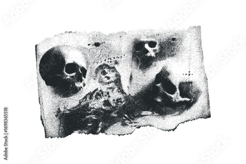 Halftone Skull Collage on Transparent Background