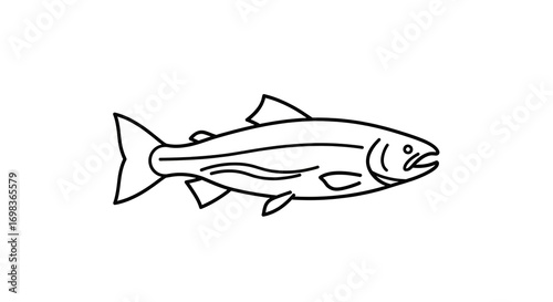 Line drawing of a fish, showcasing its fins, scales, and overall body shape.