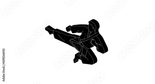 Silhouette of a Martial Artist Executing a High Kick.