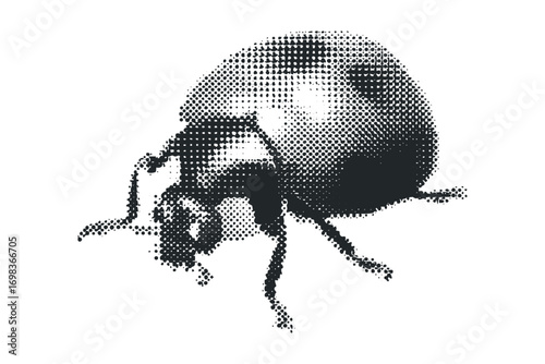 Halftone insect close up on transparent