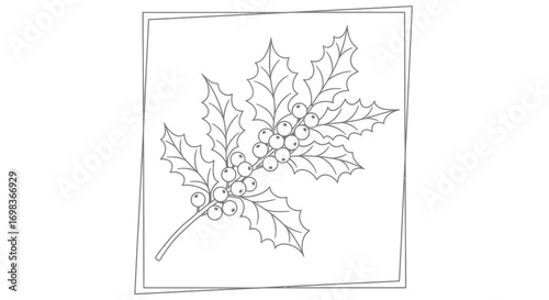 Line drawing of a holly branch with leaves and berries, framed with a simple border.