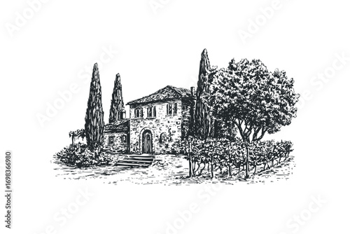 Ink sketch of stone villa with cypress trees and vineyard on transparent background