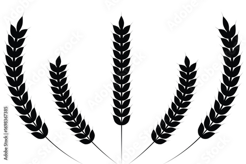 Wheat ear icons set vector silhouettes. Black wheat spikelet vector collection. Set of wheat stalk. Cereal plant silhouettes.  Agriculture symbol. Grain icon vector. eps 10