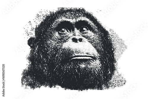 Orangutan Ape Face Halftone Texture