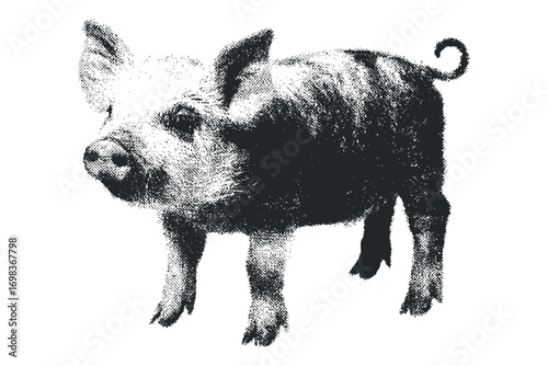 Piglet standing on transparent background