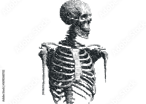 Halftone skeleton torso transparent