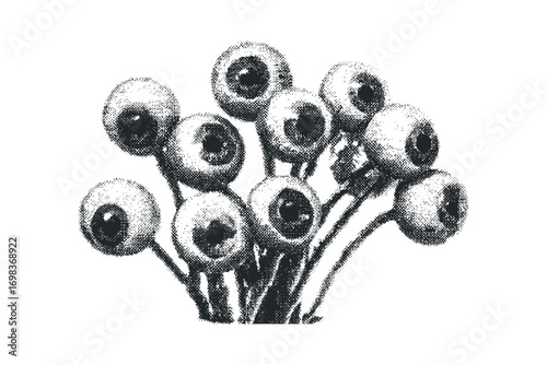 Bouquet of eyeballs on stems image