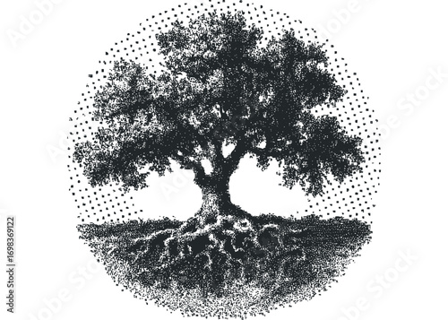 Stipple art of a solitary oak tree with expansive root system on transparent background