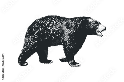 Black bear walking on transparent background