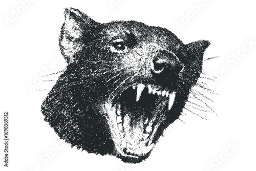 Fierce Tasmanian Devil Head Stippled Silhouette