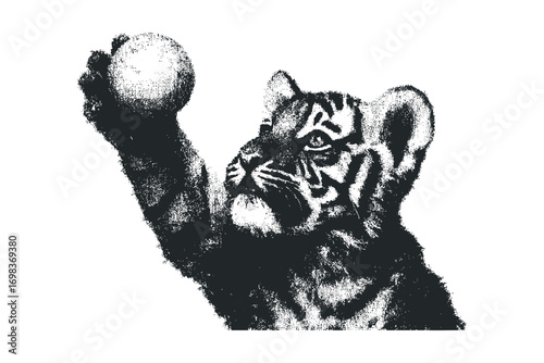 Young tiger cub playing with a ball transparent