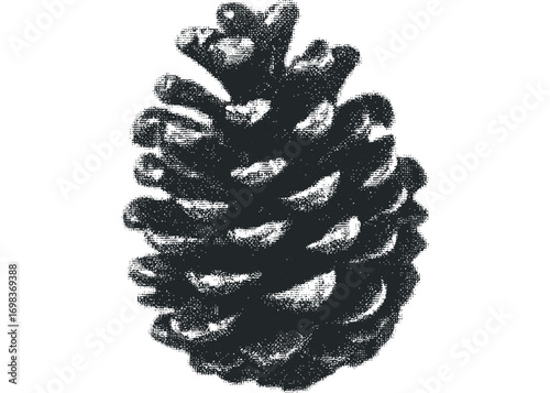 Mono Pinecone Textured Image on Transparent Background