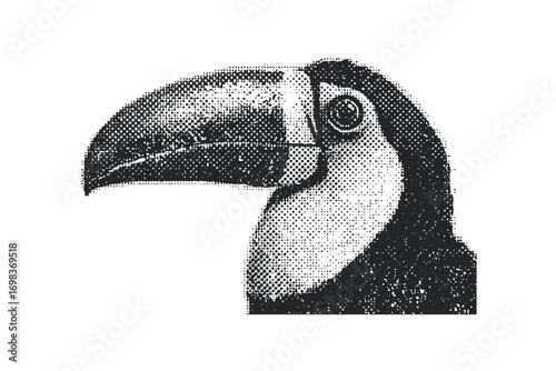 Toucan profile with textured effect on transparent background
