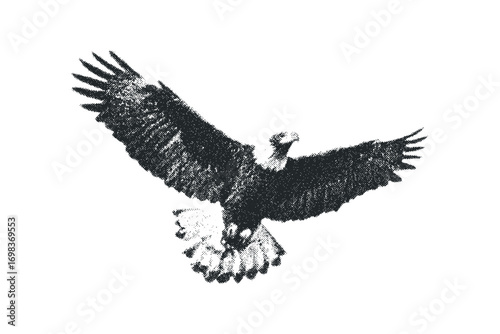 Eagle flying with outstretched wings, graphic style, isolated on white background