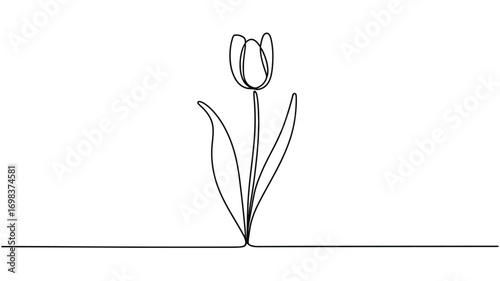Minimalist line drawing vector illustration of a single tulip flower icon silhouette vector illustration white background