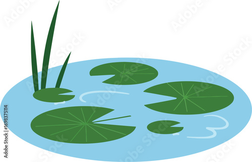 Water lily pond with green lily pads and tall grass vector illustration in simple style