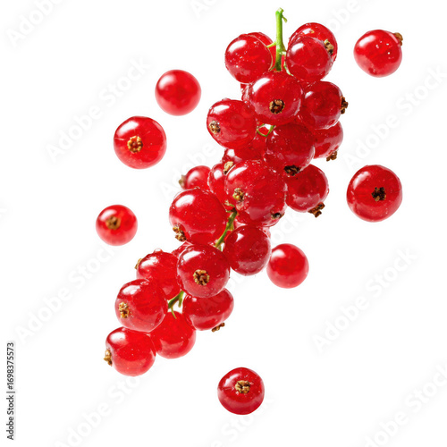Fresh red currant berries flying isolated [Transparent Background PNG].