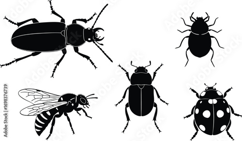Collection of diverse insect silhouettes including a beetle, ladybug, and wasp