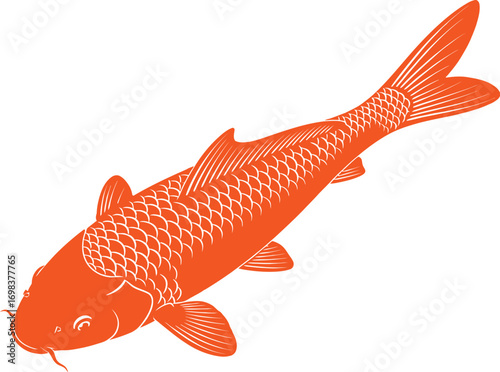 Vibrant orange koi fish gracefully swimming, symbolizing prosperity and good fortune.