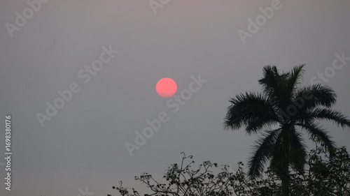 Sunrise