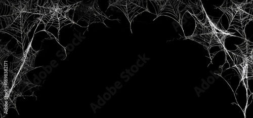 Eerie white spiderwebs frame a dark empty space on black background.