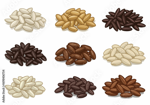 Illustrated Piles of Various Rice Grains: White, Brown, and Black Varieties, a collection of different uncooked cereal types.