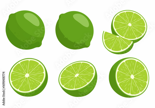 Vector illustration of fresh green limes, whole, half, and sliced, isolated on white. A collection of juicy citrus fruits for healthy eating and beverages.
