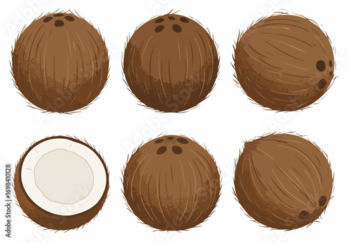 Collection of illustrated coconuts, showing whole and halved tropical fruits on a clean white background, perfect for summer, food, and healthy lifestyle designs.